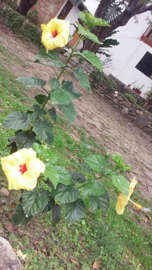 Residencial Valle Sagrado-Vilcabamba Bagian luar foto